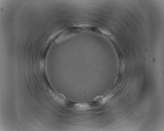 X0000062630477200512211234