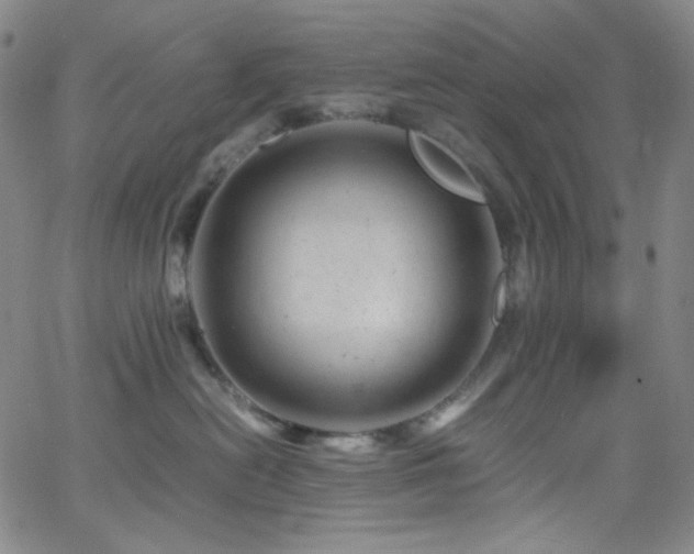 X0000062630478200512211234