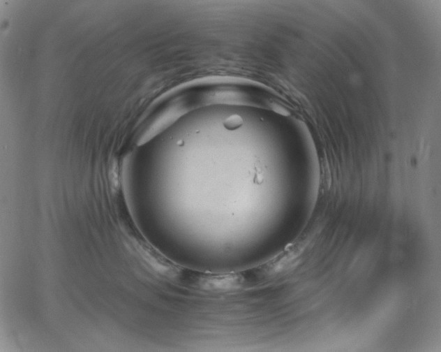 X0000062630479200512211234