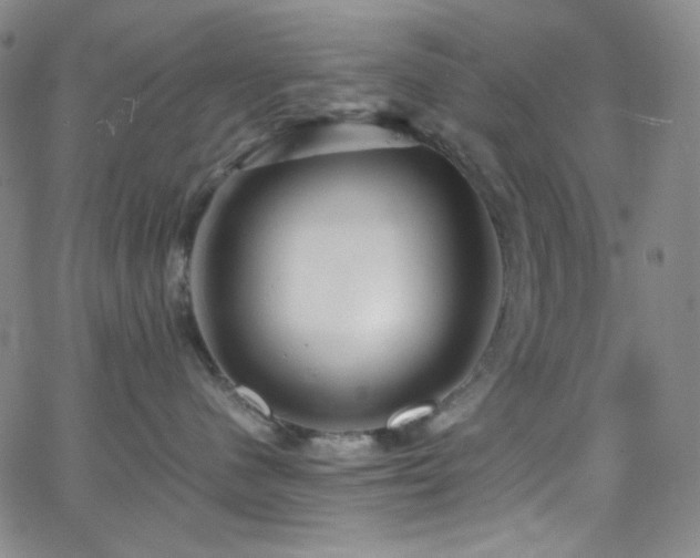 X0000062630480200512211234