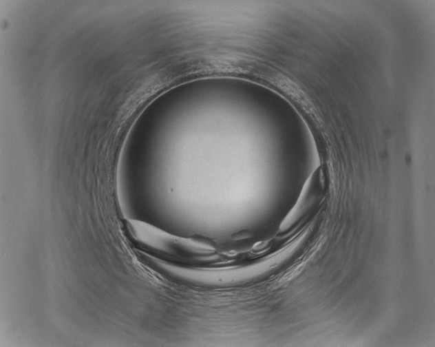 X0000062630481200512211233