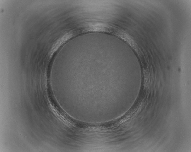 X0000062630482200512211233