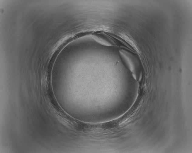 X0000062630483200512211233