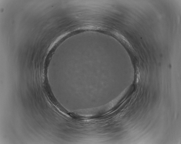 X0000062630484200512211233