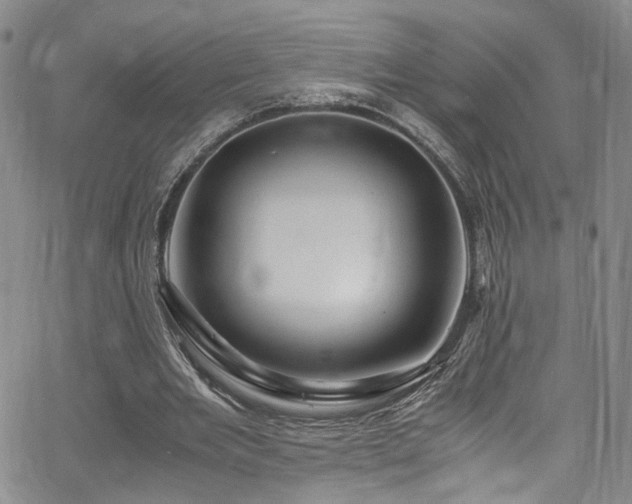 X0000062630485200512211233