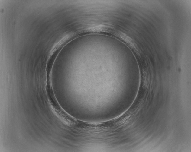 X0000062630486200512211233