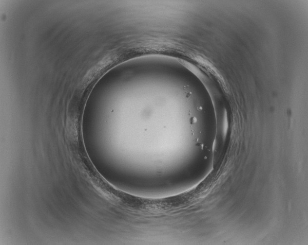 X0000062630489200512211233