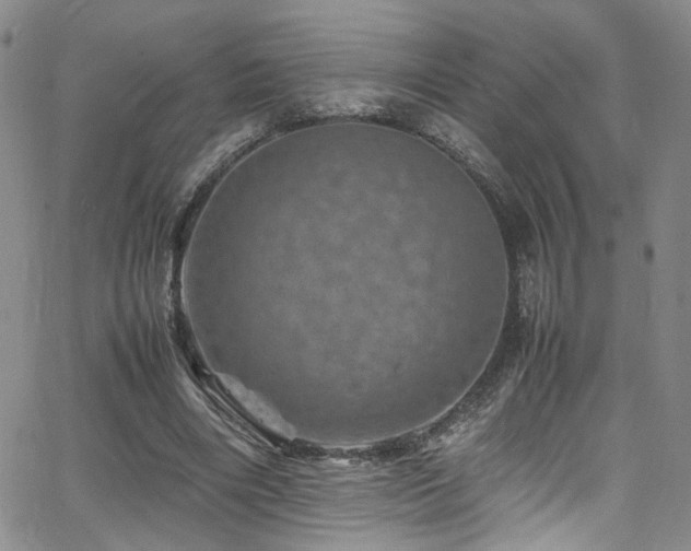 X0000062630490200512211233