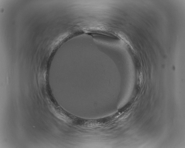 X0000062630491200512211233