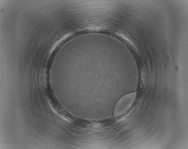 X0000062630492200512211233