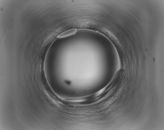 X0000062630493200512211233