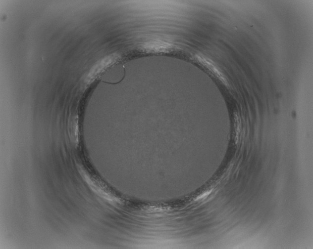 X0000062630494200512211233