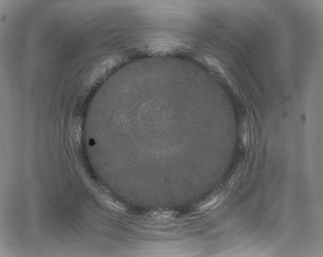 X0000062630495200512211233