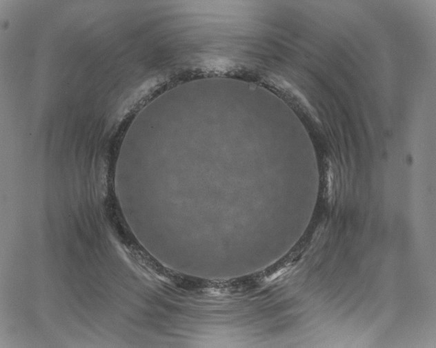 X0000062630496200512211233