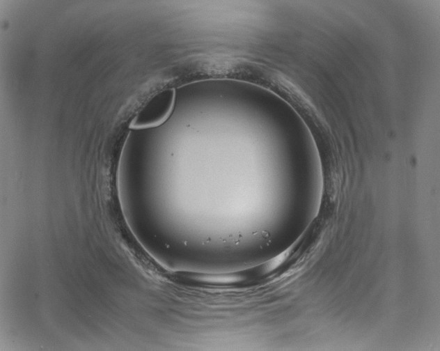 X0000062630497200512211233