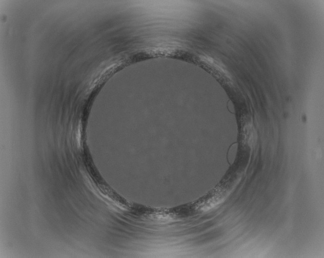 X0000062630498200512211233