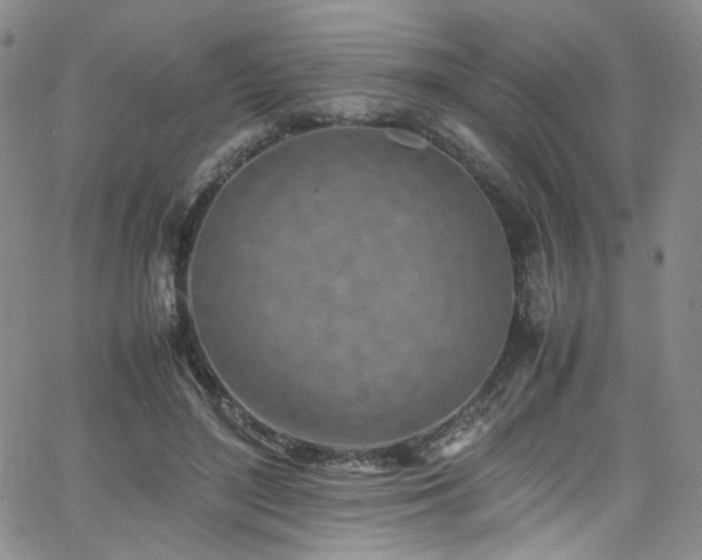 X0000062630500200512211232