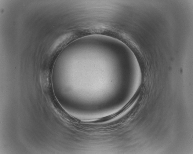 X0000062630501200512211232