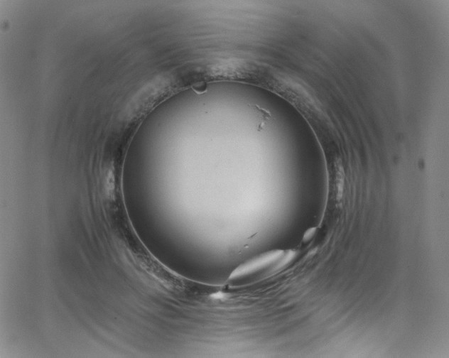 X0000062630502200512211232