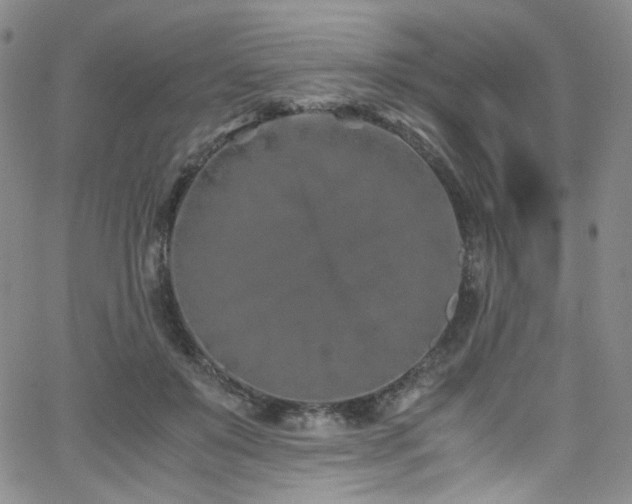 X0000062630503200512211232