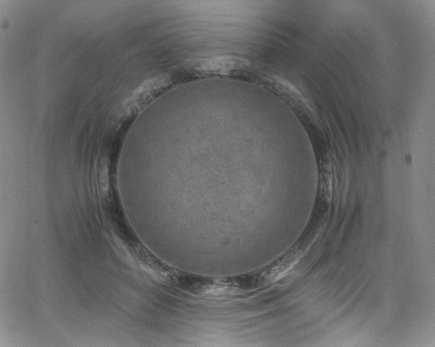 X0000062630504200512211232