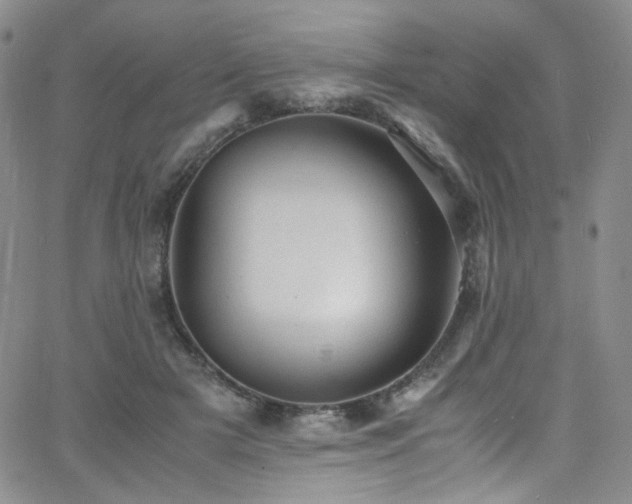 X0000062630505200512211232