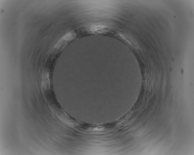 X0000062630506200512211232