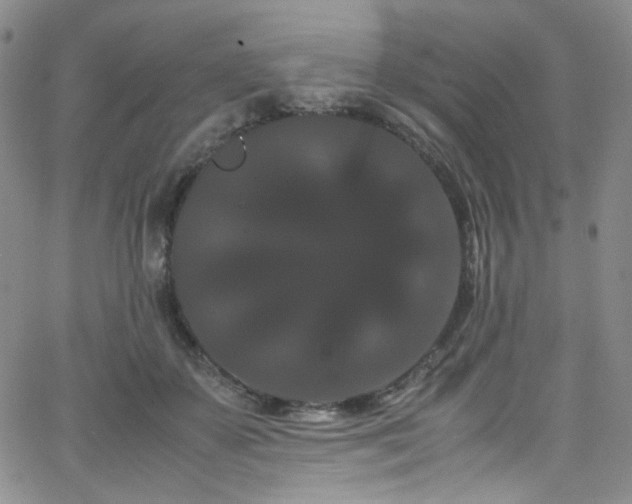 X0000062630507200512211232