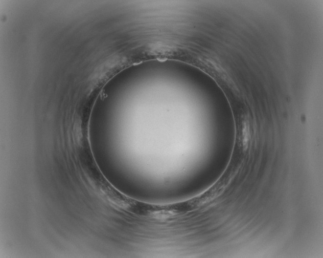 X0000062630508200512211232