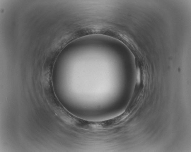 X0000062630509200512211232