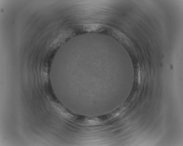 X0000062630510200512211232