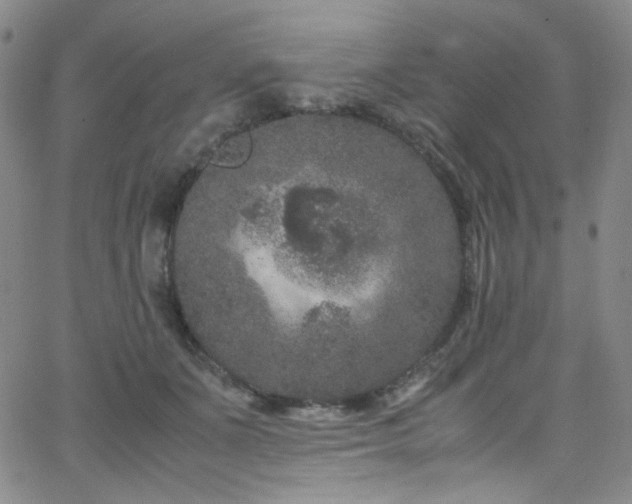 X0000062630511200512211232