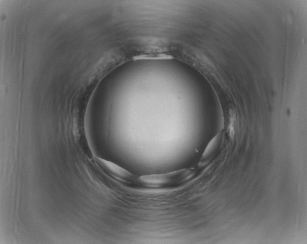 X0000062630512200512211232