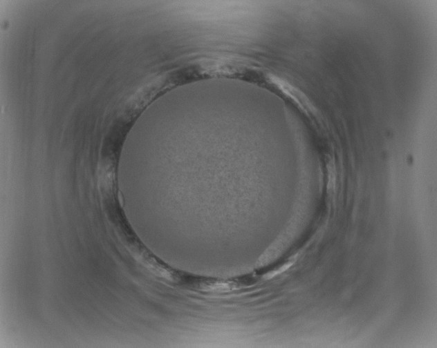 X0000062630513200512211232