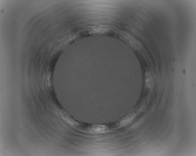 X0000062630514200512211232