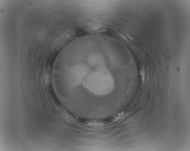 X0000062630515200512211232