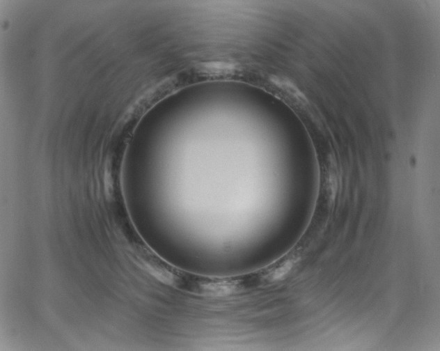 X0000062630516200512211232