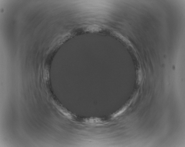 X0000062630517200512211232