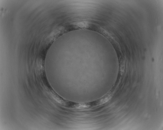 X0000062630518200512211232