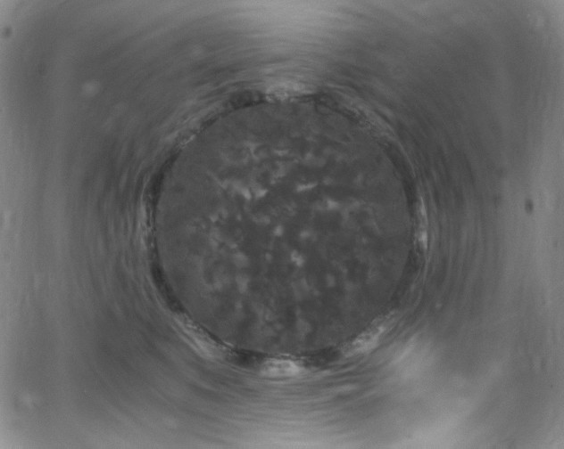 X0000062630519200512211232