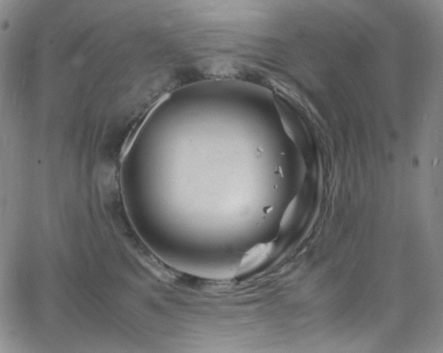 X0000062630521200512211232