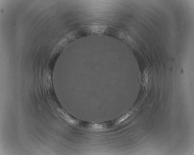 X0000062630522200512211232