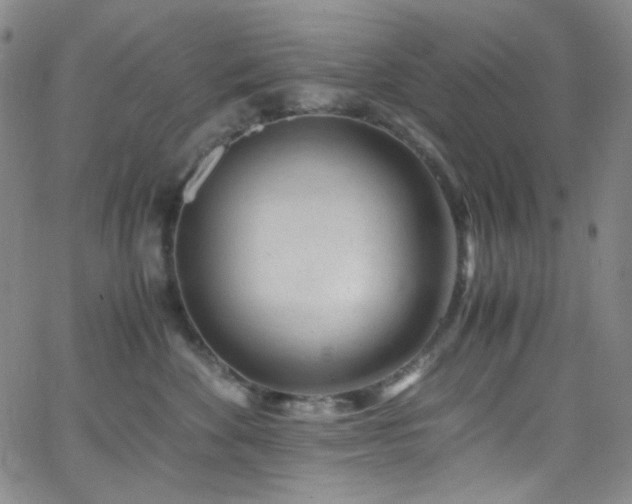 X0000062630524200512211232