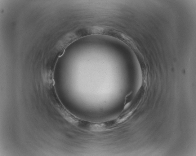 X0000062630525200512211232