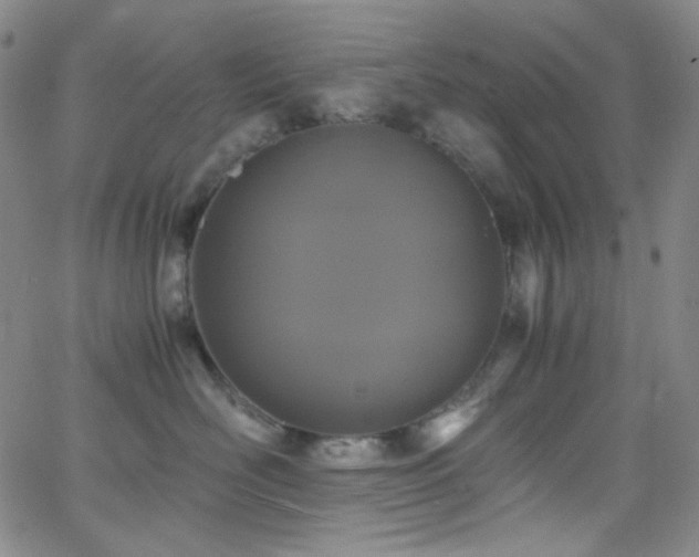 X0000062630526200512211232