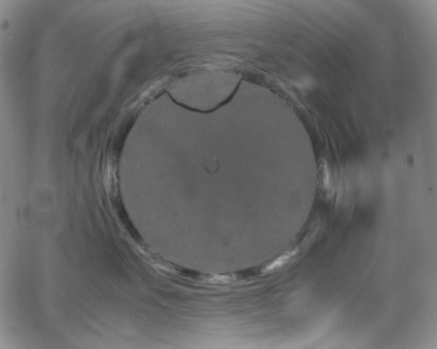 X0000062630527200512211232