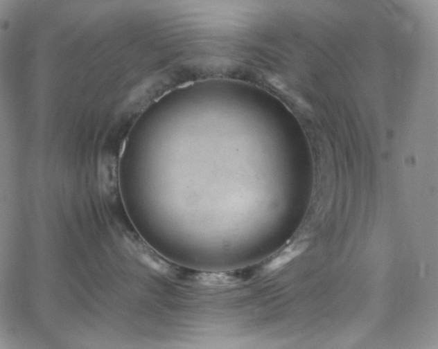 X0000062630528200512211232