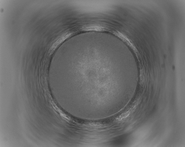 X0000062630529200512211231