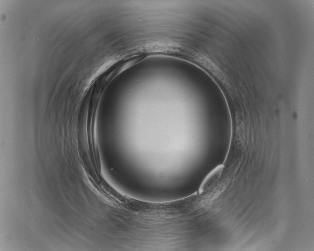 X0000062630530200512211231