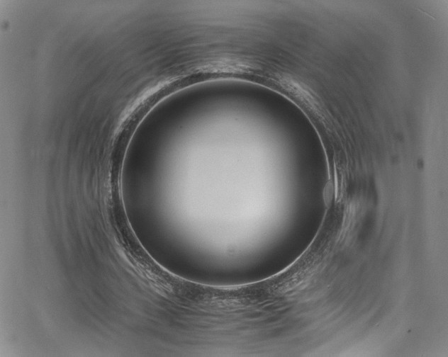 X0000062630531200512211231